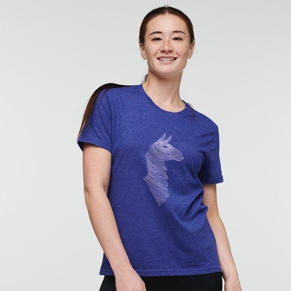 Cotopaxi Topo Llama T-shirt Purple L Women
